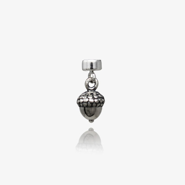 From Tiny Acorns, Great Things Come