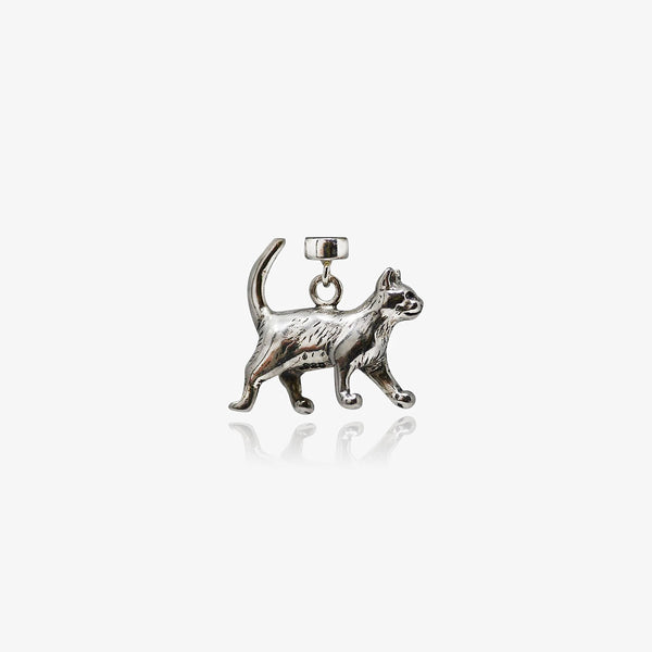 Cat Walking