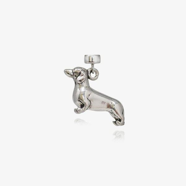 Dachshund