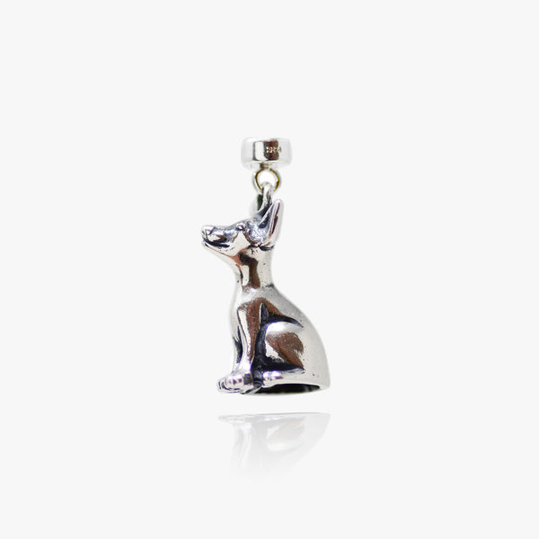 Chihuahua (Chi what?!)