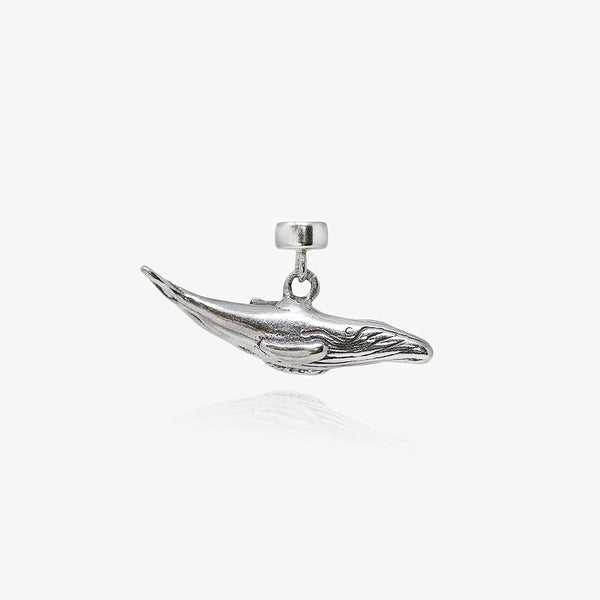 Humpback Whale